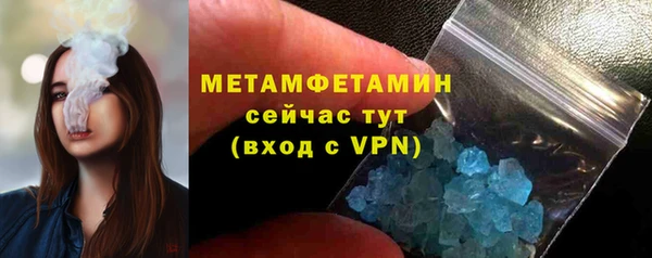 ПСИЛОЦИБИНОВЫЕ ГРИБЫ Няндома