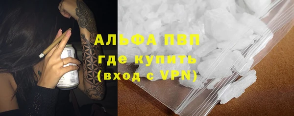 ПСИЛОЦИБИНОВЫЕ ГРИБЫ Няндома